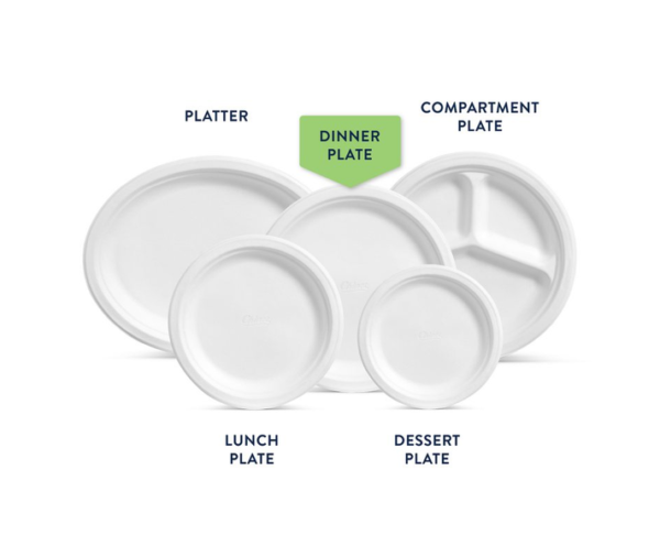 Chinet Classic Dinner Paper Plates (10.375", 165 Count) - Image 3