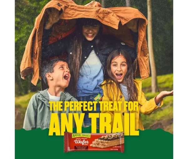 Nature Valley Peanut Butter Chocolate Wafer Bars (20 Count) - Image 9