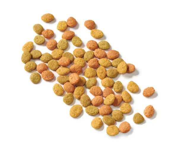 Purina Indoor Cat Chow Dry Cat Food – Hairball & Healthy Weight Formula (25 lbs) - Image 12